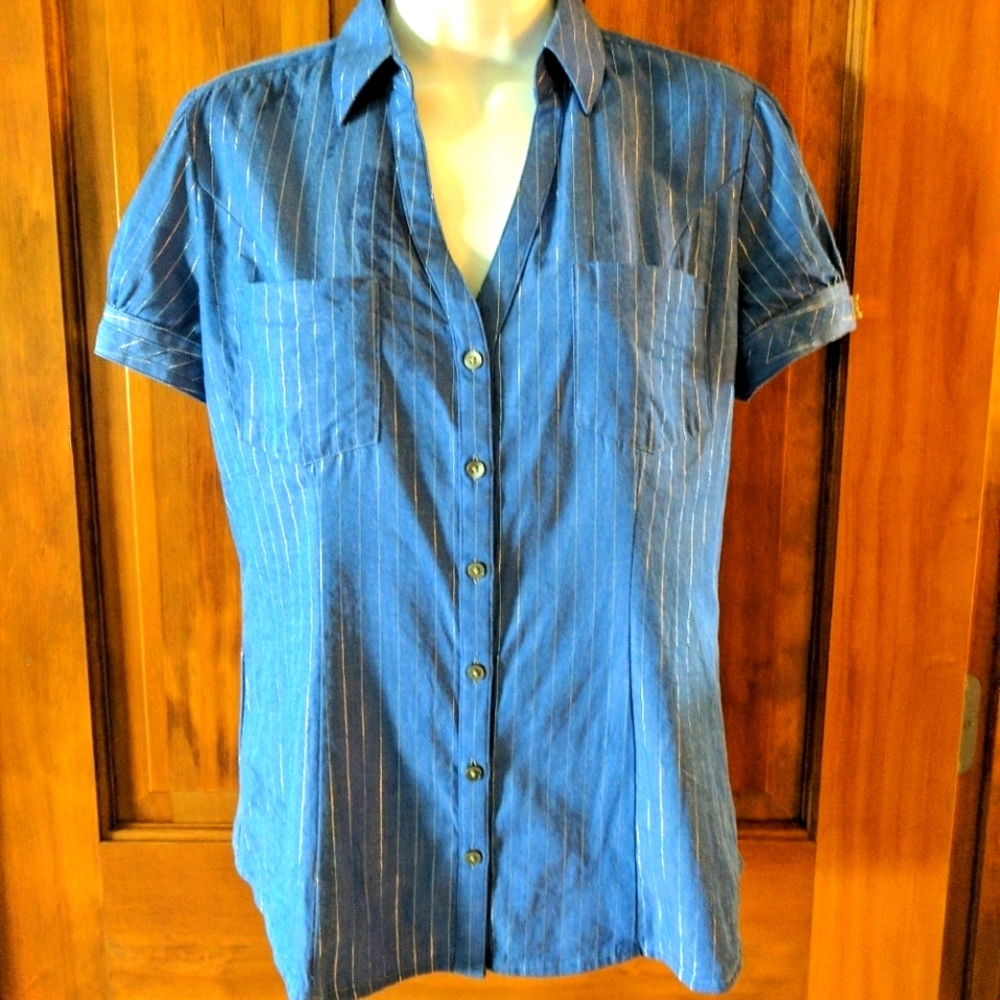 Express Short Sleeve V-Neck Button Down Blouse